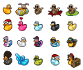 Duck-collection.png